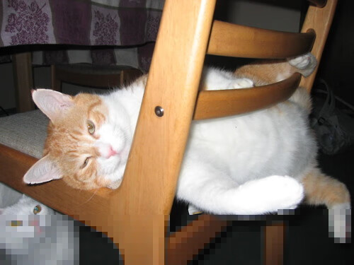 乐鱼官网优惠-全国篮球教师培训制度逐步建立提升基层教学质量，教师篮球培训方案